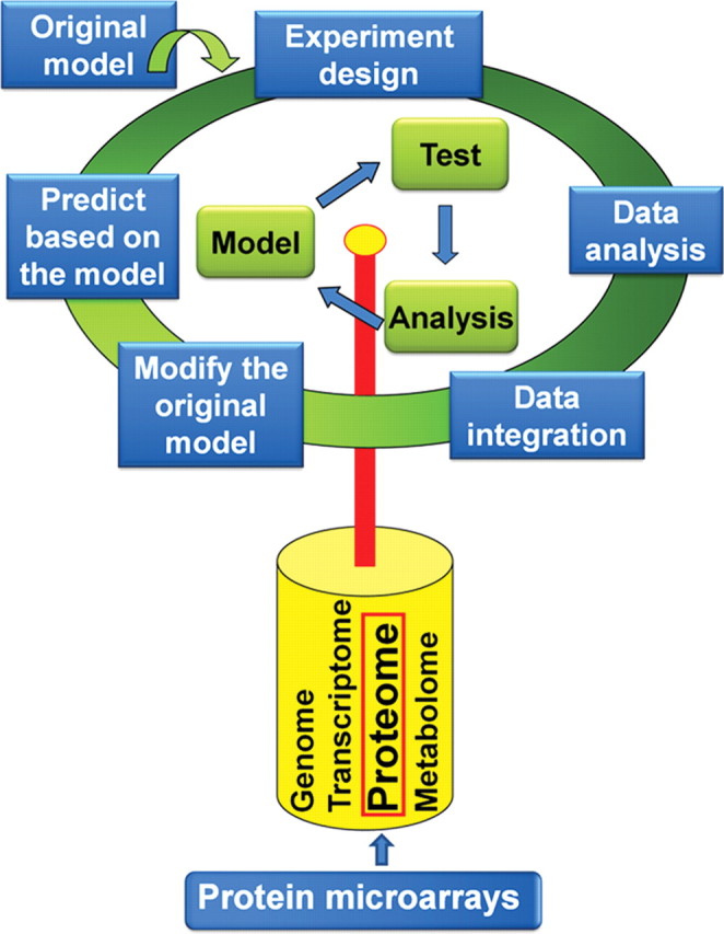 Figure 1