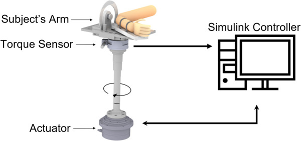 Schematic of subject's arm with robotic system. The robot was used to perturb the subject's arm using a high-torque motor and measure the reaction torque applied by the arm.