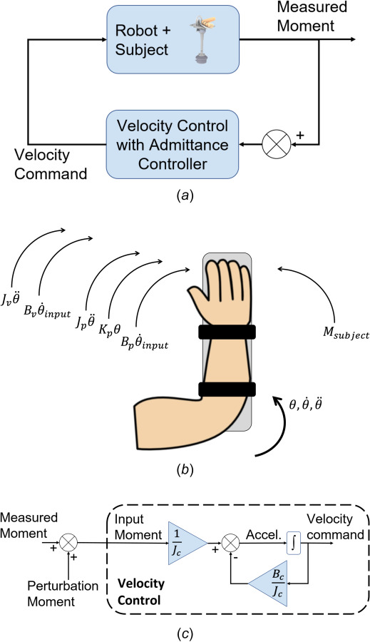 (a) Block diagram illustrating the implementation of the admittance controller. Torque measurements are fed back to generate the velocity commanded to the actuator. (b) Free body diagram illustrating the rotational dynamics of the robot, arm, and admittance controller (c) block diagram of the admittance controller illustrating how the controller inertia and damping alter the input velocity to reproduce the free motion dynamics based on the subject's measured torque. A torque perturbation injected in software is used to excite the arm rotational dynamics and identify the viscous damping and stiffness.