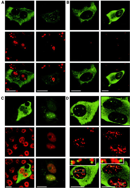 FIG.4.