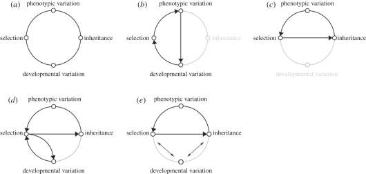 Figure 1.