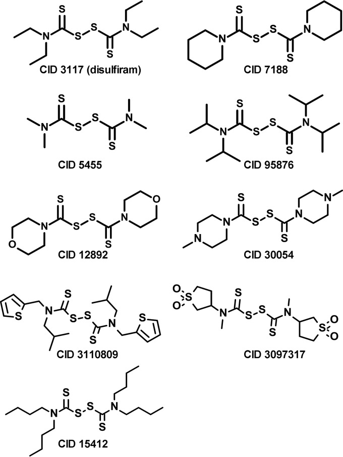 FIG 1