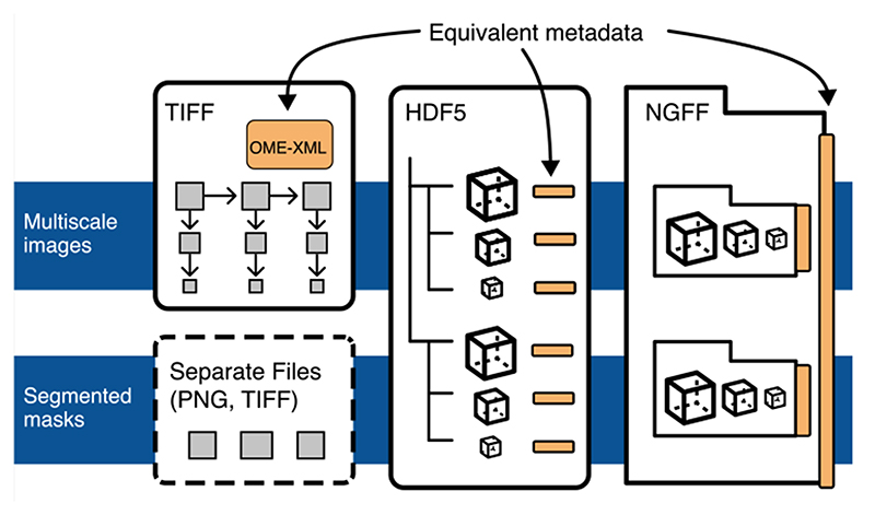 Extended Data Fig. 4