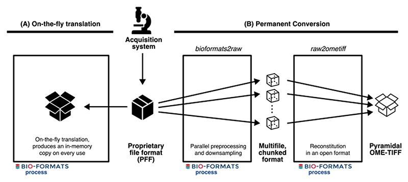 Extended Data Fig. 3