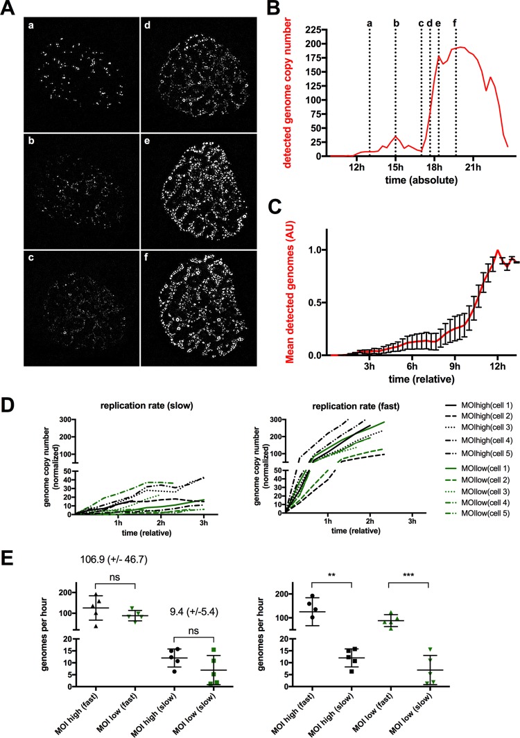 FIG 6