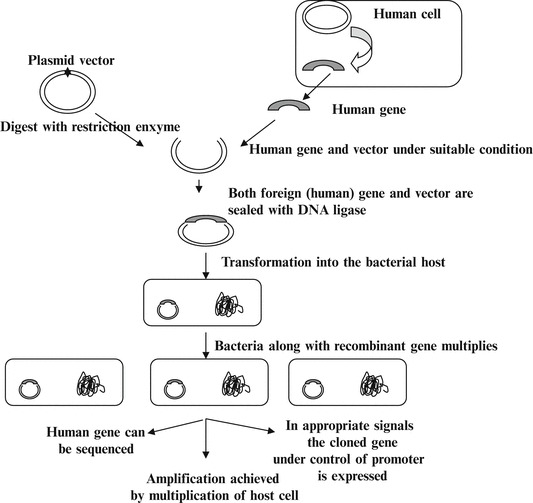 Fig. 1.5