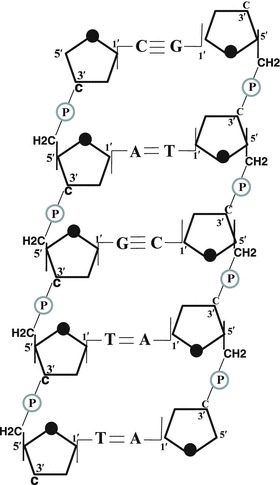 Fig. 1.2