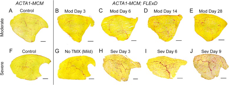 Fig. 14