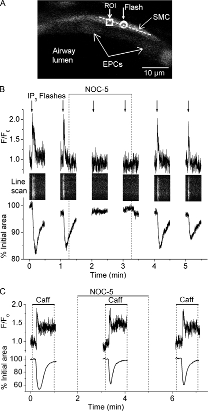 Figure 5.