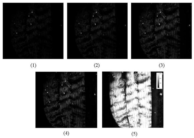 Fig. 7