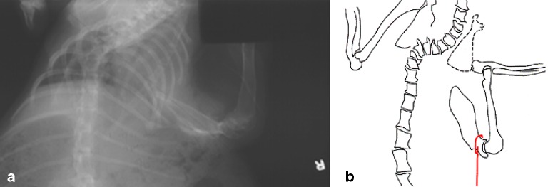 Fig. 6