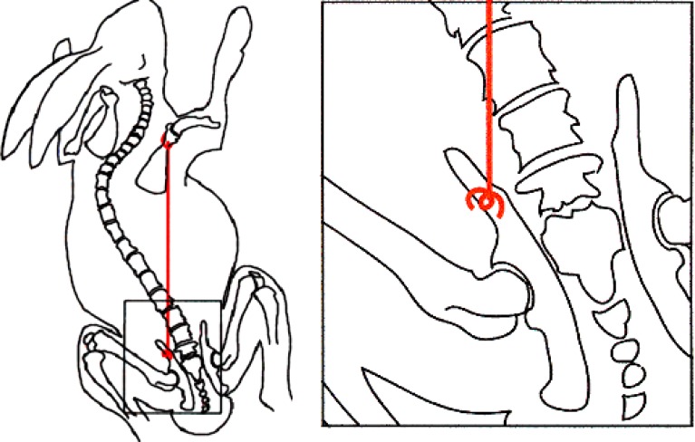 Fig. 1