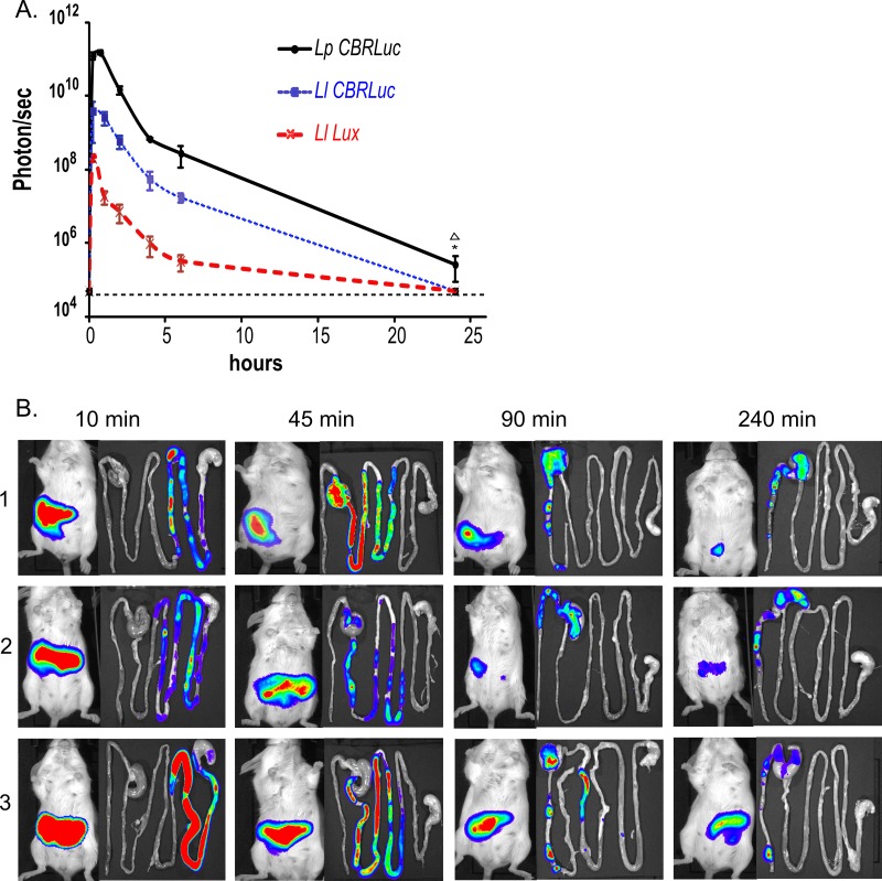 Fig 3