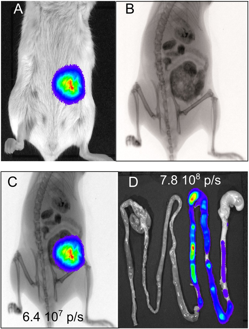 Fig 2