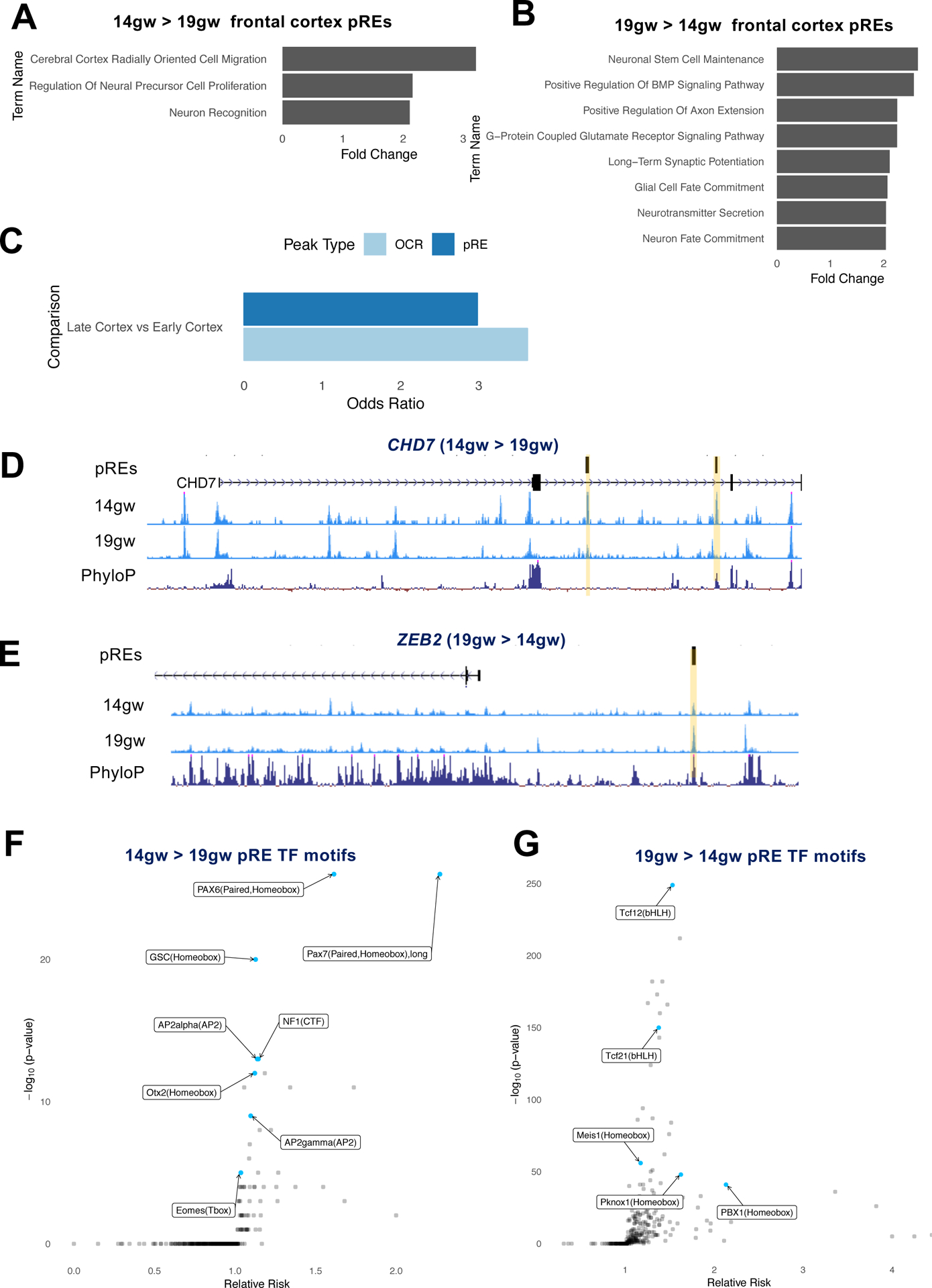 Figure 4: