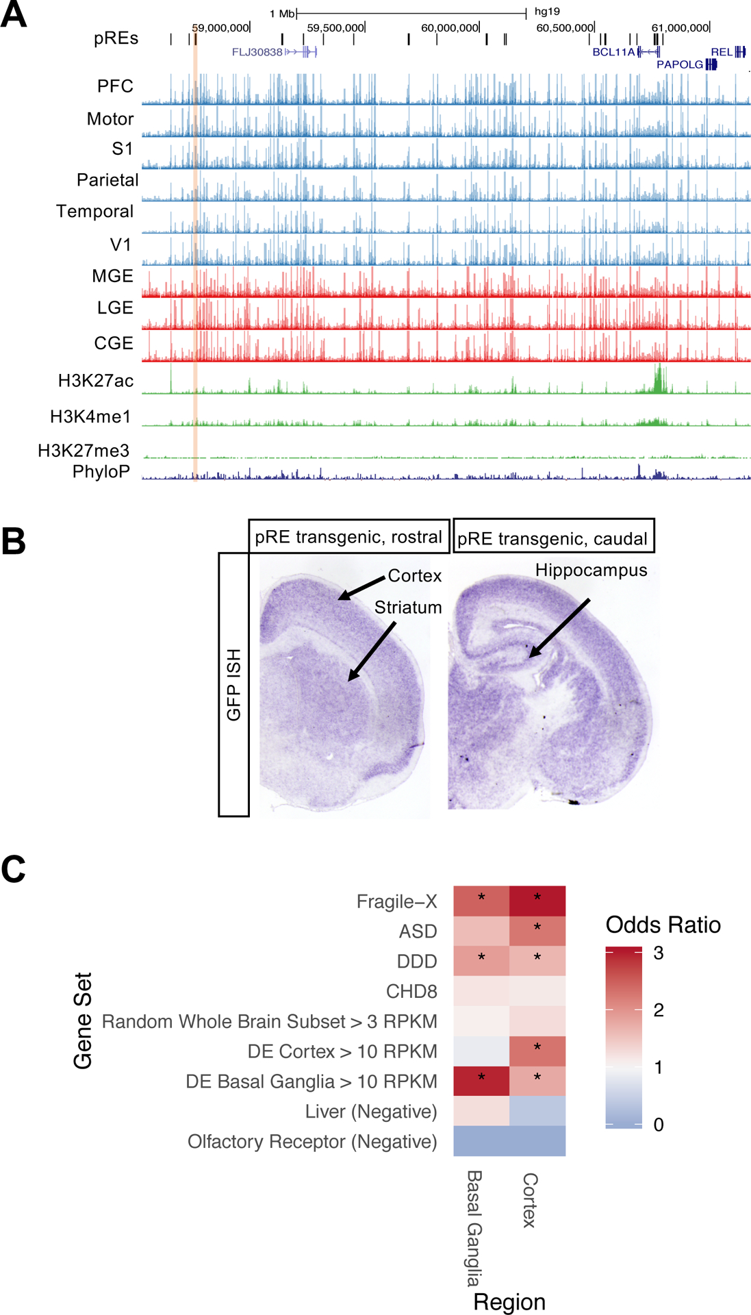 Figure 6: