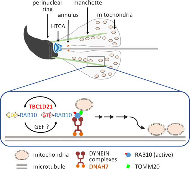 Fig 9