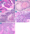 Fig. 3