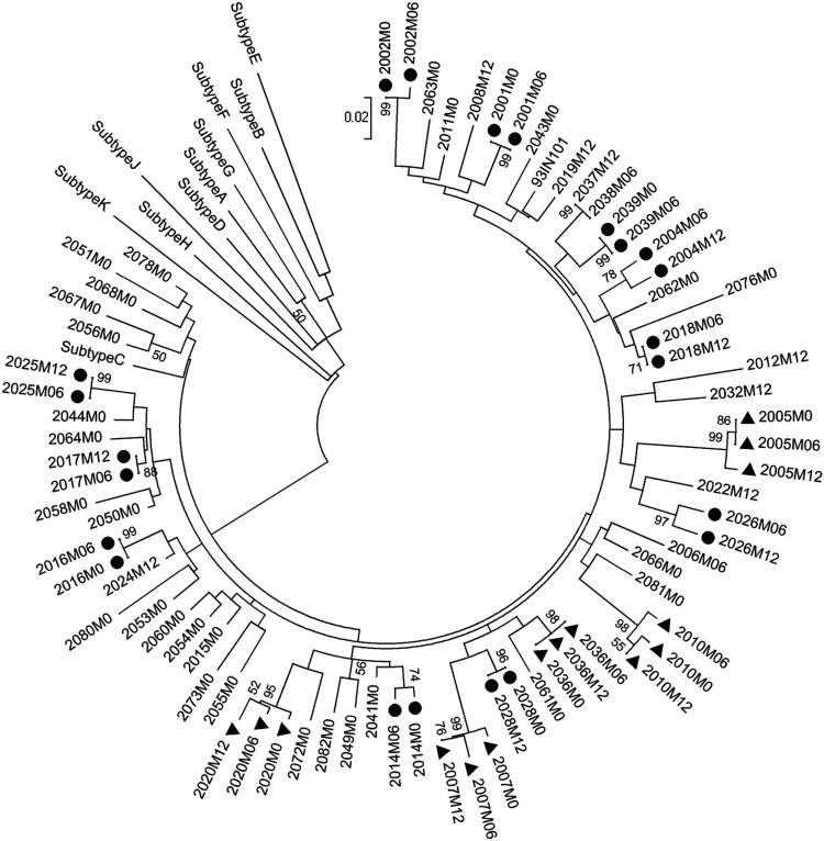 FIG. 2.