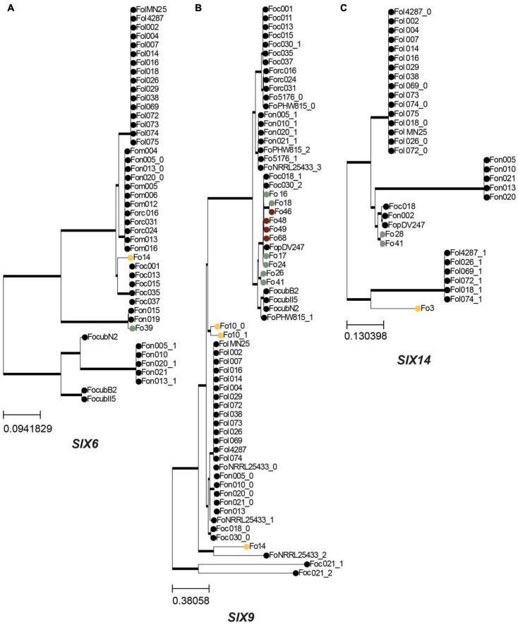 FIGURE 7