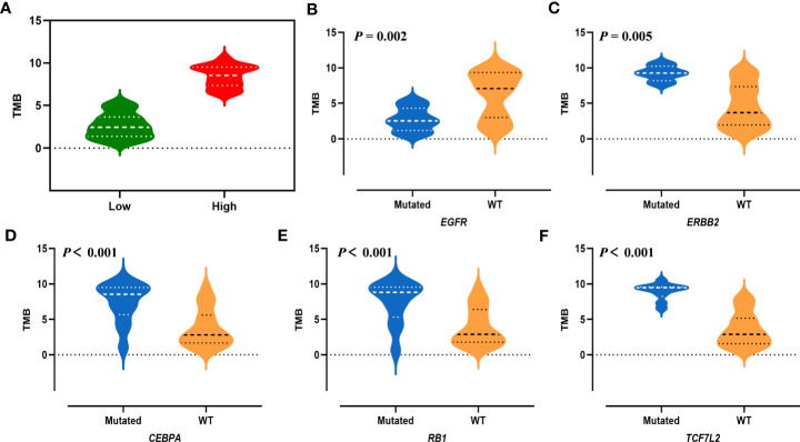 Figure 6