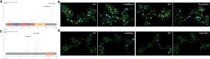 Figure 3