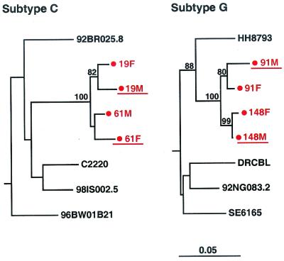 FIG. 4.