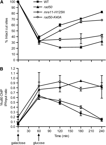 Figure 6.—