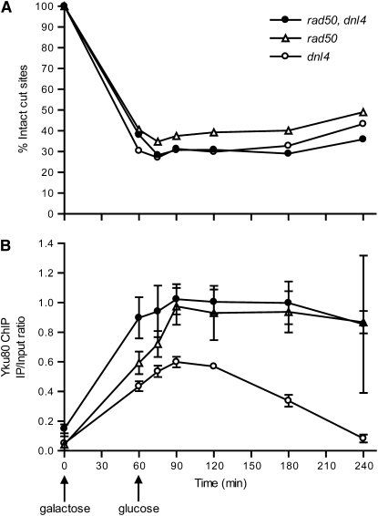 Figure 5.—