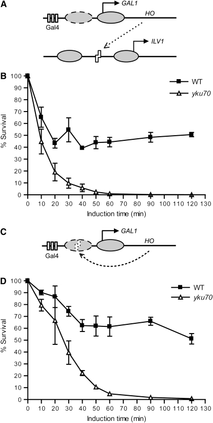 Figure 1.—