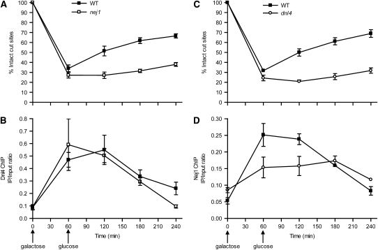 Figure 4.—