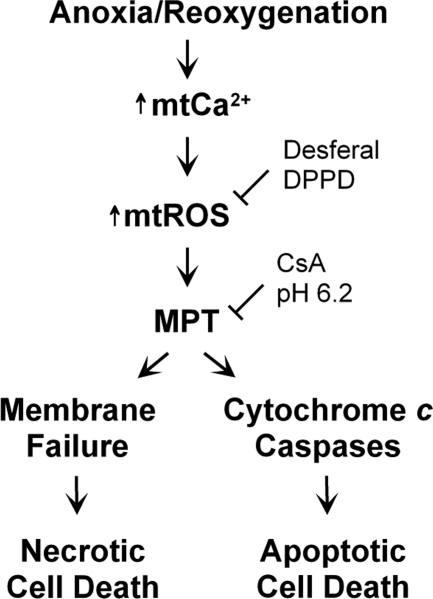 Fig. 5.