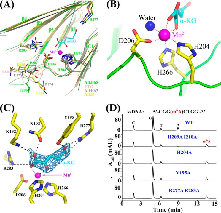 FIGURE 4.