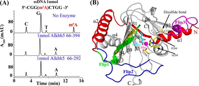 FIGURE 1.