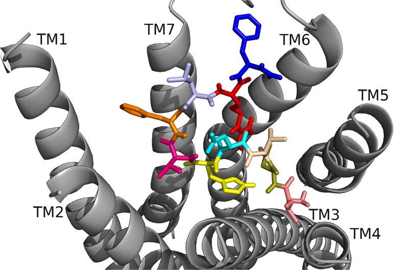 Fig 5