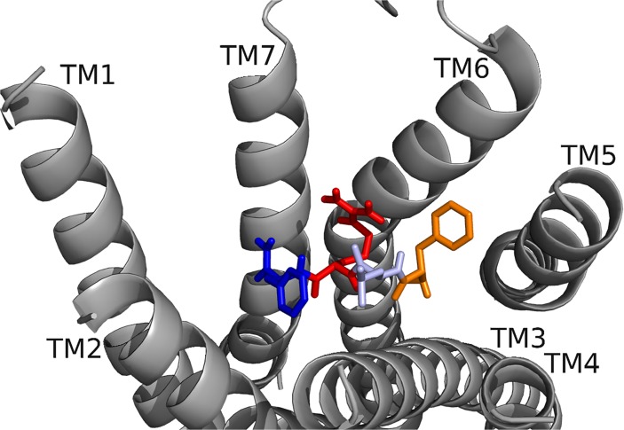 Fig 10