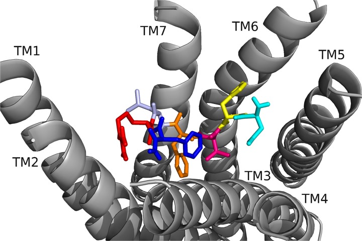 Fig 6