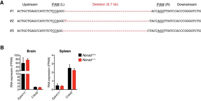 Figure 1—figure supplement 2.