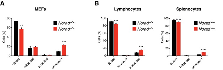 Figure 4—figure supplement 1.