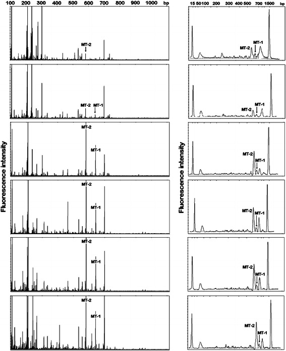 Fig. 3