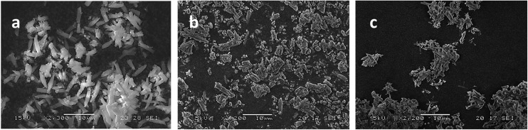 Fig. 10
