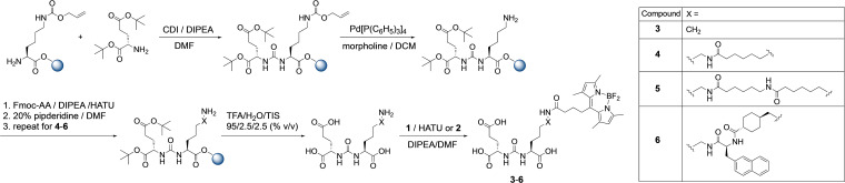 Scheme 2