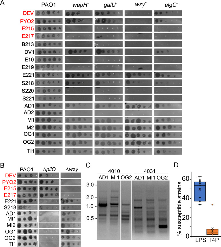 Fig 6