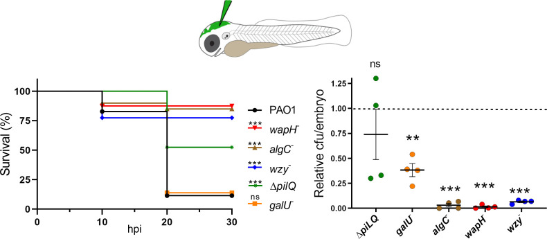 Fig 4