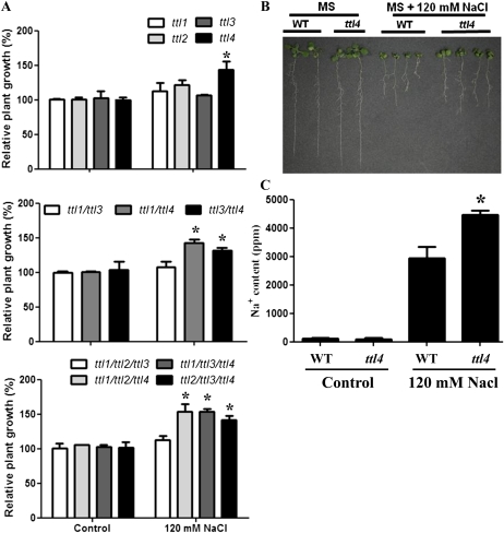 Figure 6.