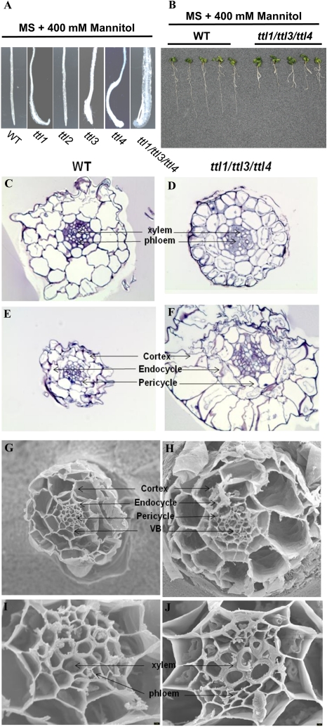 Figure 10.