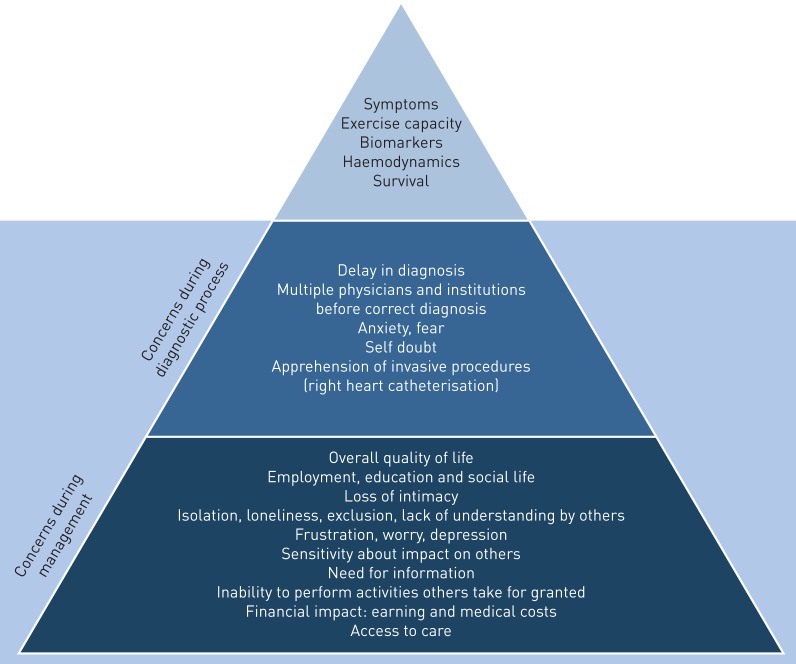 FIGURE 1