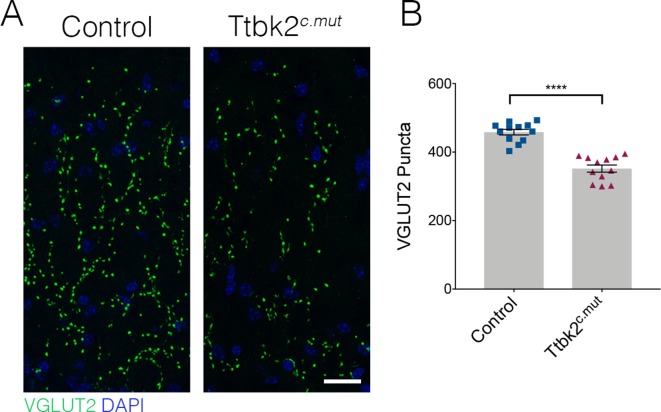 Figure 1—figure supplement 3.