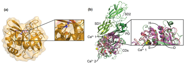 Fig. 6