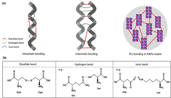 Microbial enzymes catalyzing keratin degradation: Classification ...